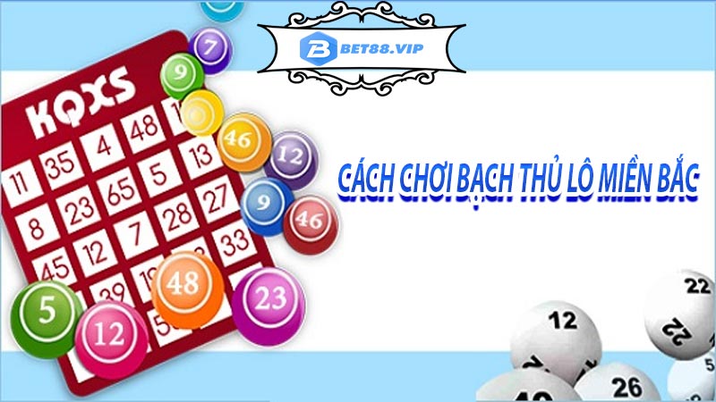 Cách chơi bạch thủ lô miền bắc