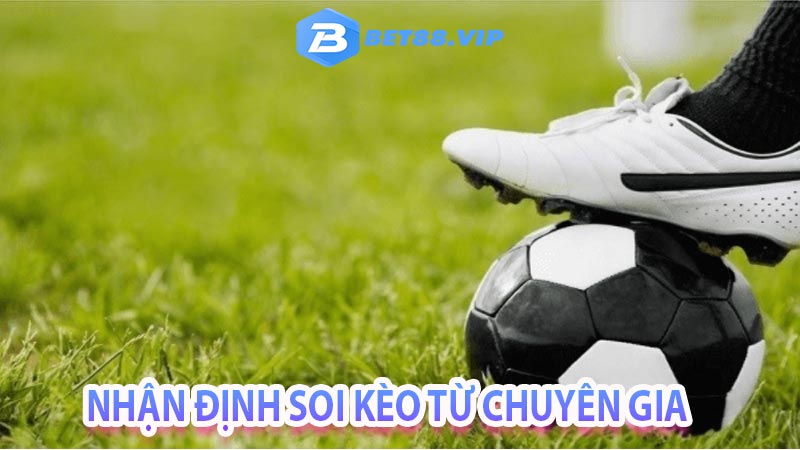 Tham khảo nhận định kèo từ chuyên gia